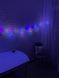 Новорічна гірлянда Лампа Едісона колір ламп мікс 2,5 м RD-9008 75LED 14486/MG фото 3