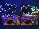 Электрическая гирлянда с формой лампы Рубинка большая на 100LED LED100B-8 и черной проволоки Синий 8645/EW фото 5