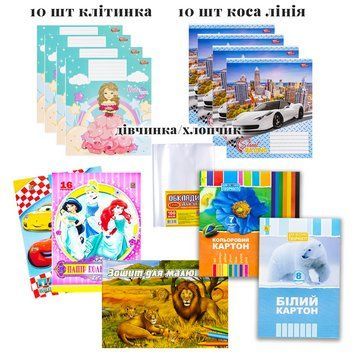 Шкільний набір канцтоварів "Преміум Люкс" з 1 по 4 клас (Мальчик/Дівочка) ПР 1-4 фото