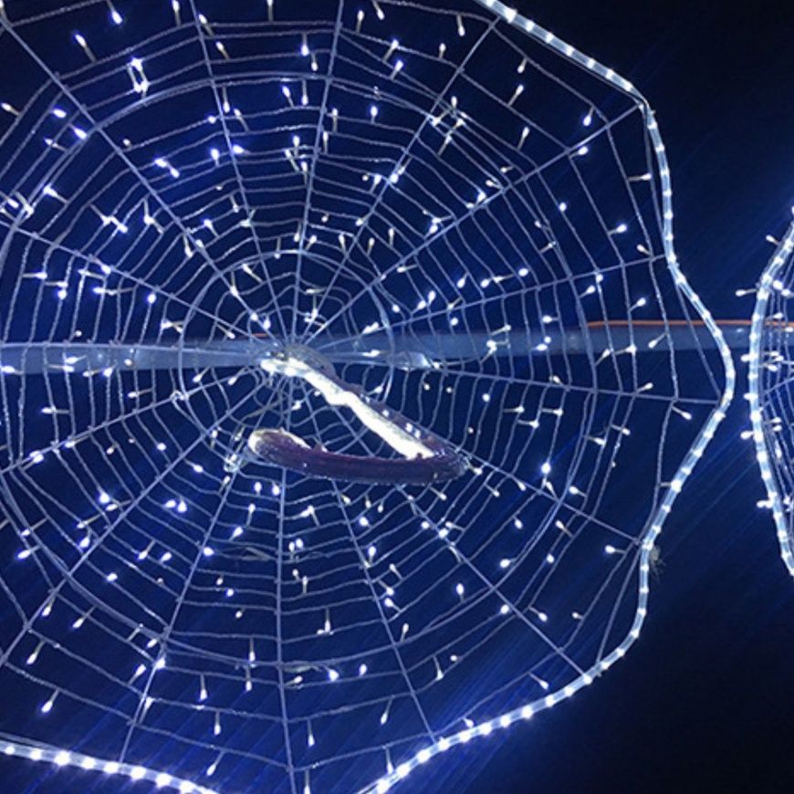Гирлянда &ndash; уличная &ldquo;Дюралайт&rdquo; LED 10 метров Белый 0064-1Б/МК фото