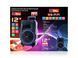Акустична переносна колонка SS-7171 600Вт 12" 54х35х30см USB/SD/FM/BT/MIC/ДК 9065/EW фото 2